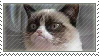 Grumpy Cat stamp