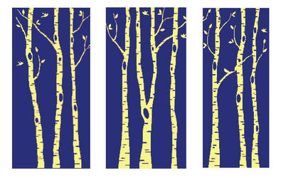 Triptych of Birches