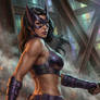 Huntress - DC Comics