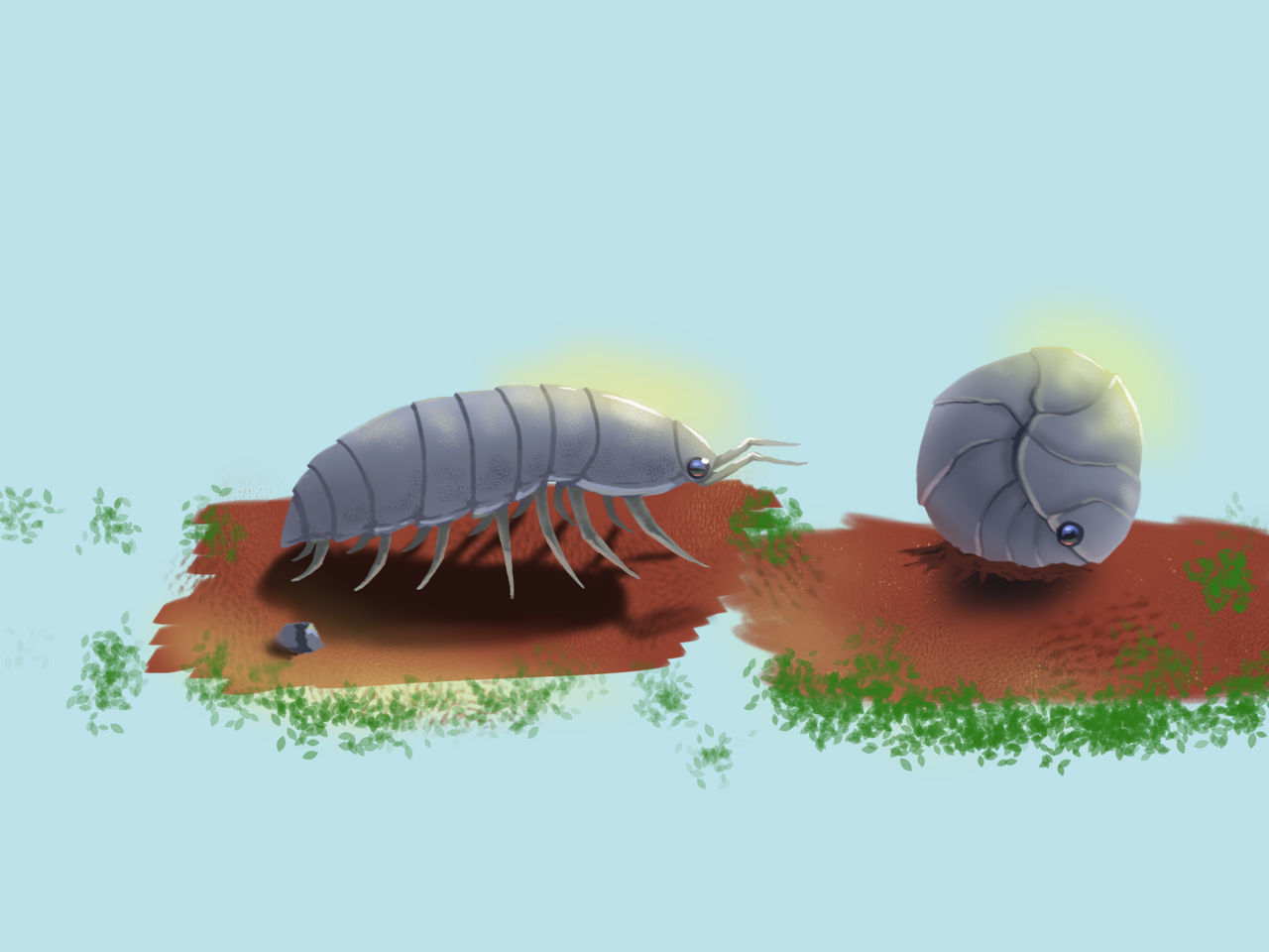 Roly poly sketches by Marxpngkk on DeviantArt