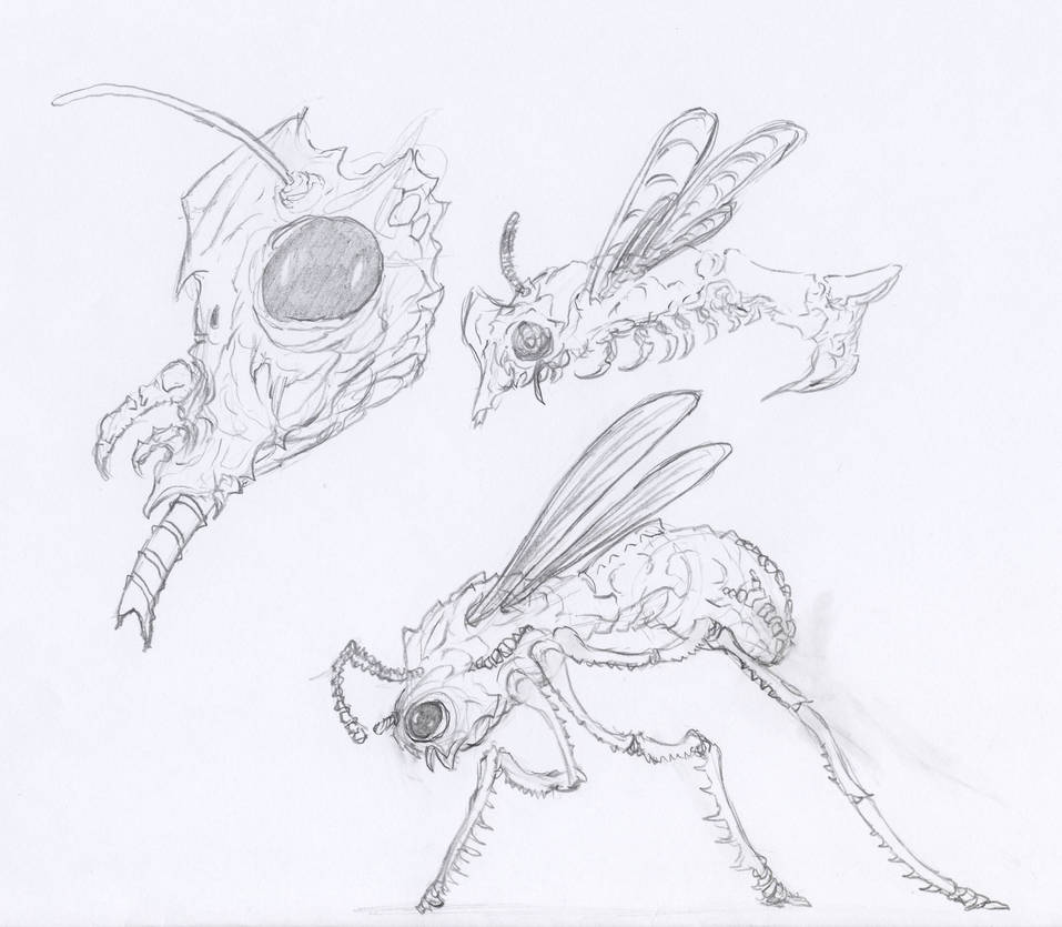 Bug Sketches by Siptec on DeviantArt