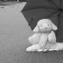 teddy bear in the rain