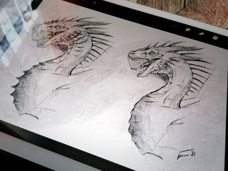Dragon Sketches 05/03/2021