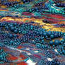 Sequence and Dimensionality