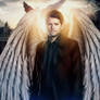 Fallen angel Castiel