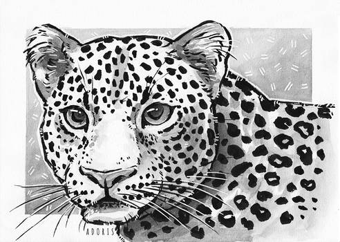 Leopard [inktober]