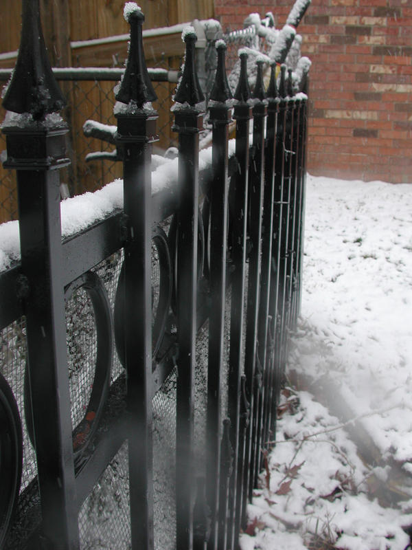 Snowy Fence