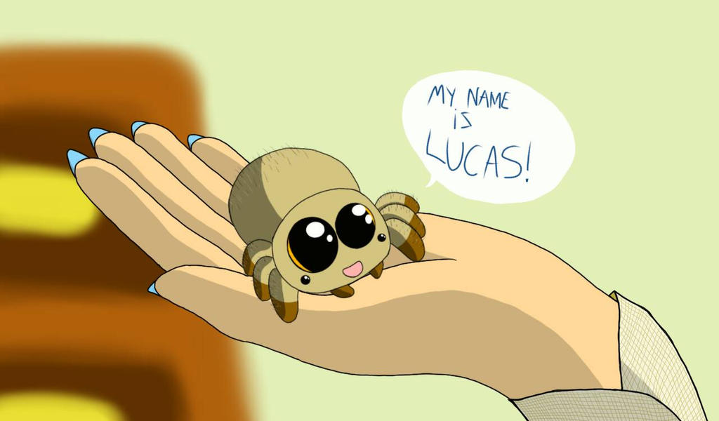 Lucas the Spider by JAREDPLATA on DeviantArt