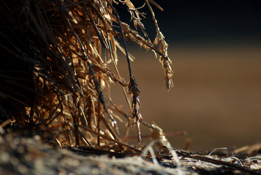 haystack by Fegg92 on DeviantArt