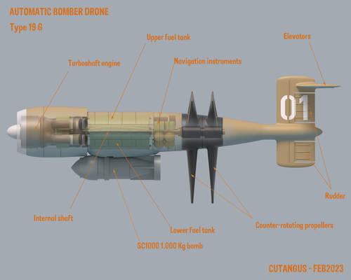 Description of Type 019 drone