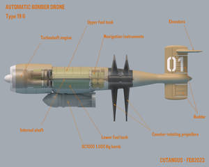 Description of Type 019 drone