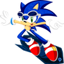 .: Sonic Web Surfer