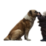 Dog and Kid PNG