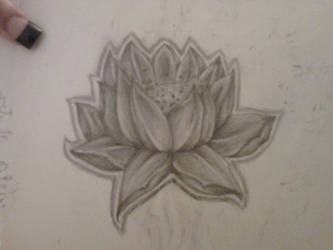 Lotus