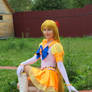 Sailor Venus Eternal