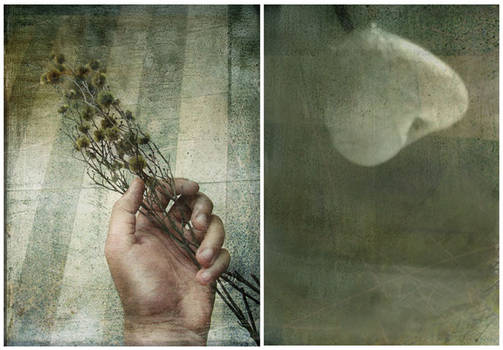 i could have loved you