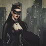 TDKR Catwoman