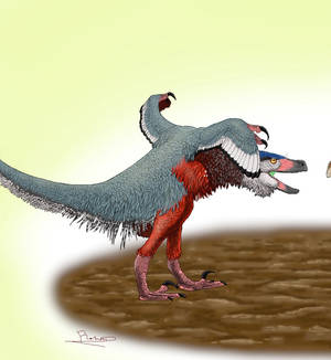 Acheroraptor