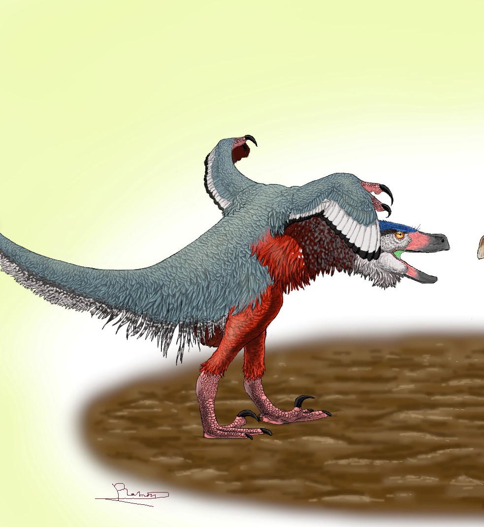 Acheropithecus Acheroraptor by Reiimon on DeviantArt