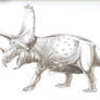 Titanoceratops