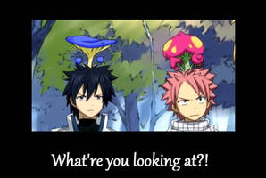 Fairy tail motivational