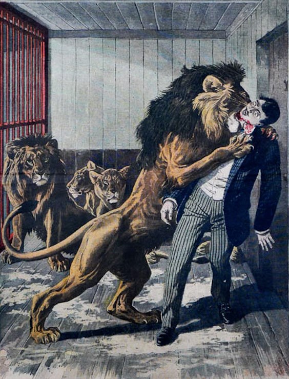 Don't Go in The Lion's Cage Tonight