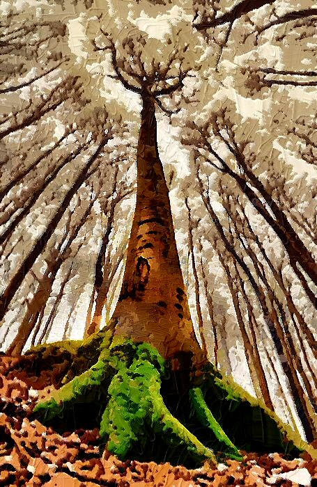 The Trees by peterpulp on DeviantArt