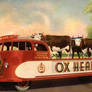 Oxhead Ale