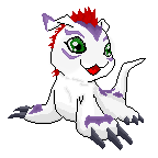 Gomamon