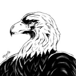 eagle