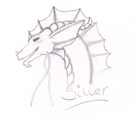 Silver Sketch