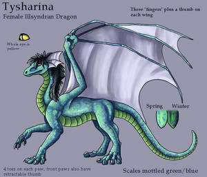 Tysharina Ref Sheet by Zyleeth by Tysharina