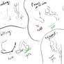 Quick cartoon hind leg / back paw tutorial