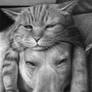 Relax