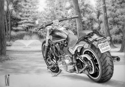 Harley Davidson Softail