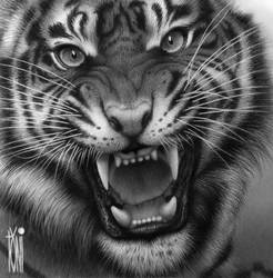 great Tiger