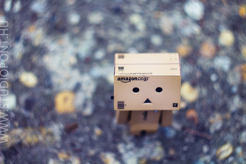 Danbo