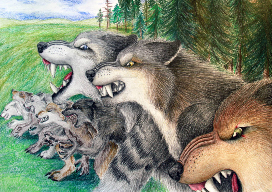 Werewolf attack by HunterBeingHunted on DeviantArt