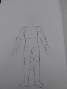 working on anatomy