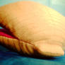 Plush Clam II - Side View