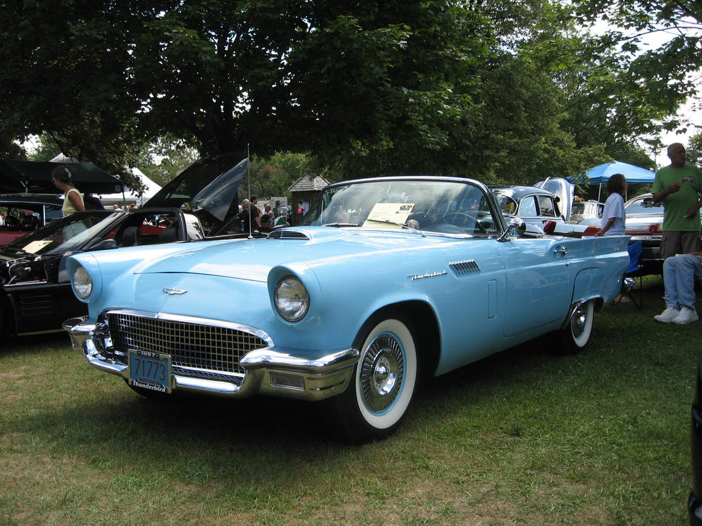 Blue Thunderbird