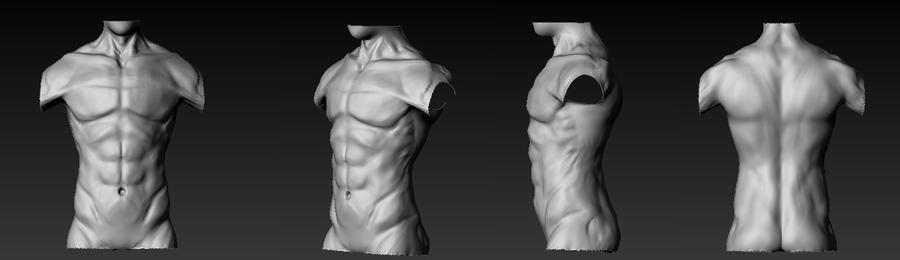 male anatomy practice