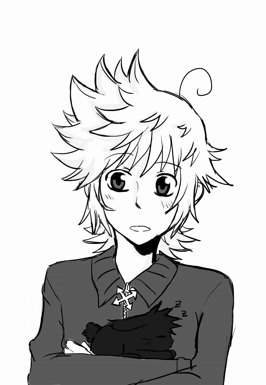 V2 diary - Roxas