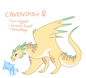 Cavendish | Female | Land of Dragons