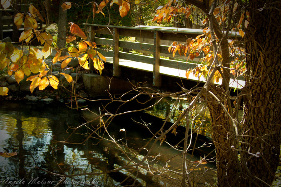 Autumn Bridges