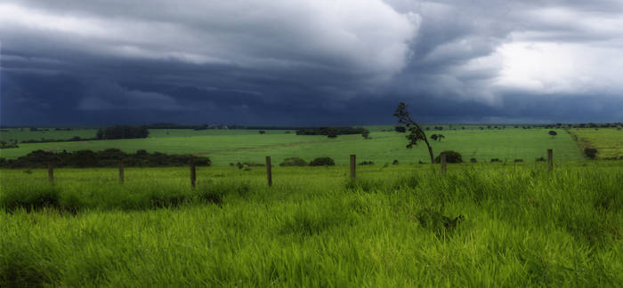 Approaching Storm