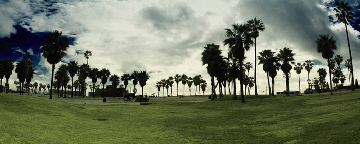 Venice Panorama