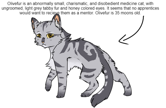 open warriorcat adopt