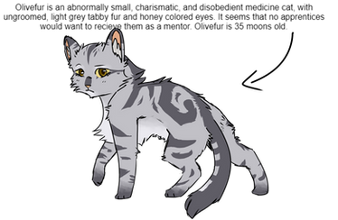 open warriorcat adopt