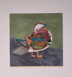 Preening